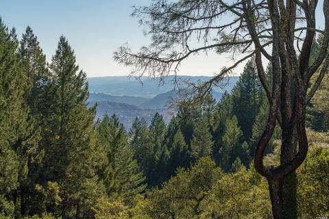 4504 Pine Flat Rd, Healdsburg, CA 95448 photo 16