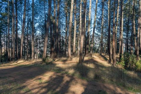 4504 Pine Flat Rd, Healdsburg, CA 95448 photo 25