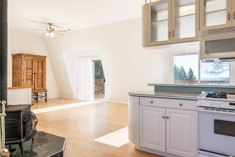 4504 Pine Flat Rd, Healdsburg, CA 95448 photo 4