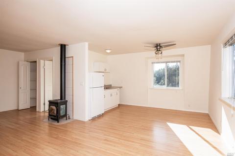 4504 Pine Flat Rd, Healdsburg, CA 95448 photo 20
