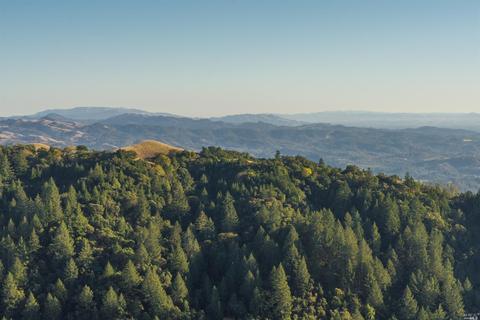 4504 Pine Flat Rd, Healdsburg, CA 95448 photo 24
