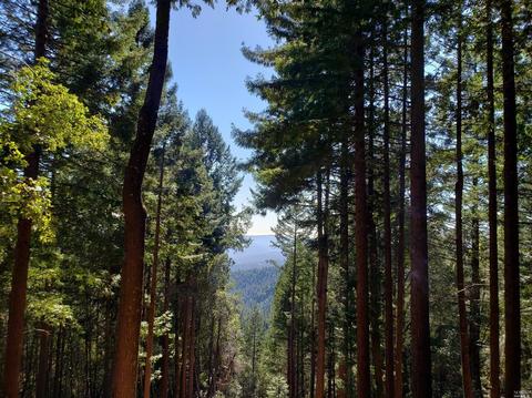 Undisclosed, Willits, CA 95490 photo 17