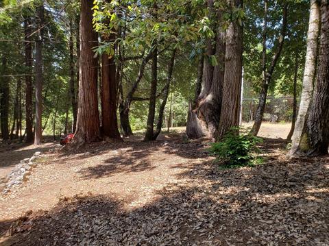 Undisclosed, Willits, CA 95490 photo 24
