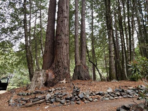 Undisclosed, Willits, CA 95490 photo 25