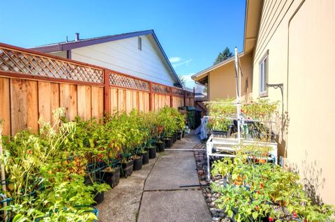 1648 Sarkesian Dr, Petaluma, CA 94954 photo 31