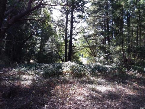 1990 Hilltop Dr, Willits, CA 95490 photo 17