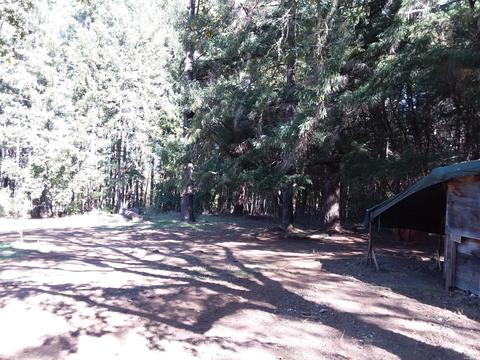 1990 Hilltop Dr, Willits, CA 95490 photo 24