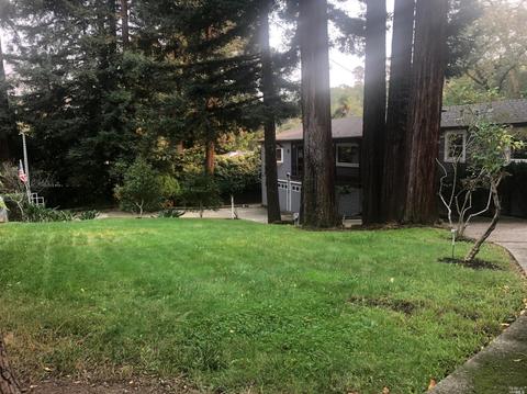 76 D St, San Rafael, CA 94901 photo 3