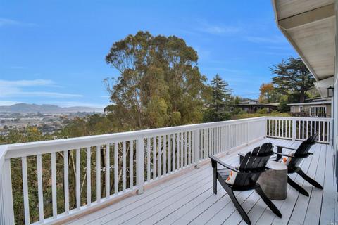 175 Elm Ave, Larkspur, CA 94939 photo 34