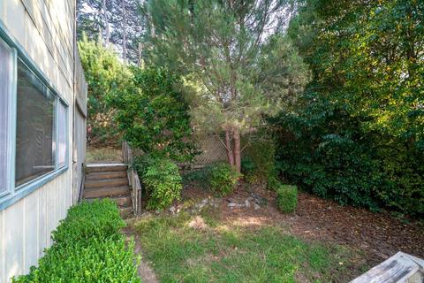 569 Fairview Ave, Mill Valley, CA 94941 photo 26