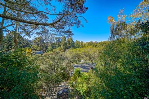 569 Fairview Ave, Mill Valley, CA 94941 photo 28