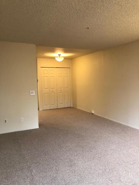 331 Lincoln Ave, Cotati, CA 94931 photo 16