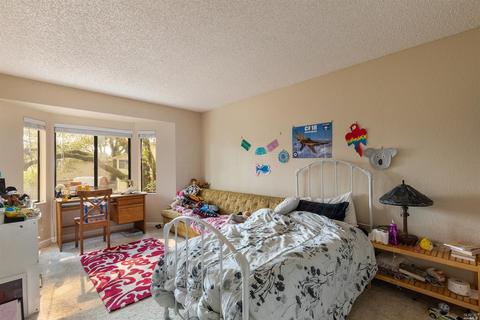 396 Jane Dr, Windsor, CA 95492 photo 23