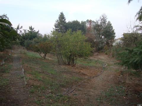 2687 Mark West Station Rd, Windsor, CA 95492 photo 16