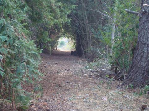 2687 Mark West Station Rd, Windsor, CA 95492 photo 12