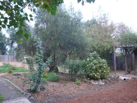 2687 Mark West Station Rd, Windsor, CA 95492 photo 8