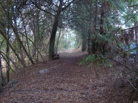 2687 Mark West Station Rd, Windsor, CA 95492 photo 13