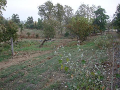 2687 Mark West Station Rd, Windsor, CA 95492 photo 17