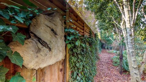 140 John St, Tomales, CA 94971 photo 37