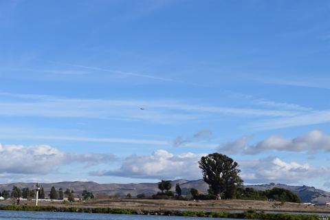 1606 Milton Rd, Napa, CA 94559 photo 11