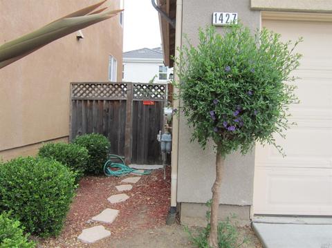 1427 Pike St, Vallejo, CA 94590 photo 40