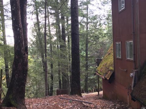 26093 Peacock Rd, Willits, CA 95490 photo 4