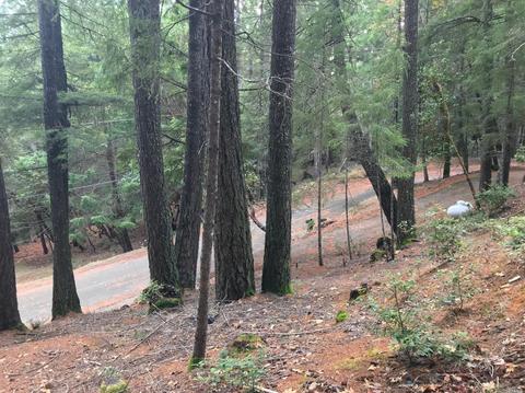 26093 Peacock Rd, Willits, CA 95490 photo 5