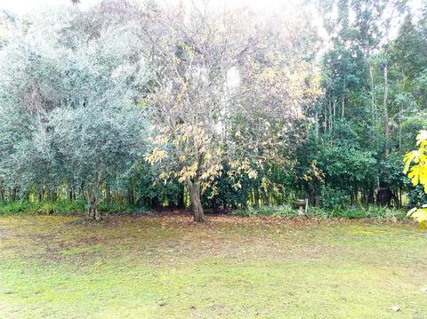 4441 Solano Rd, Fairfield, CA 94533 photo 32