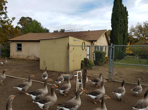 4441 Solano Rd, Fairfield, CA 94533 photo 33