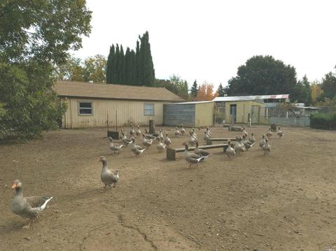 4441 Solano Rd, Fairfield, CA 94533 photo 36