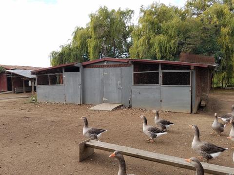 4441 Solano Rd, Fairfield, CA 94533 photo 34