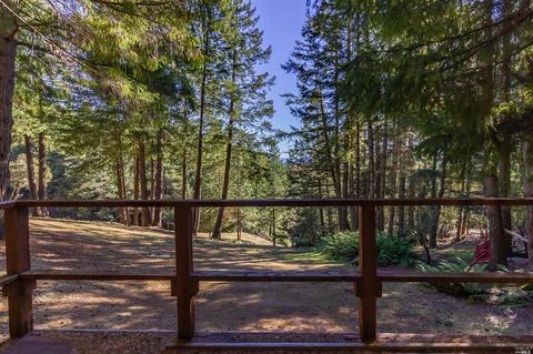 27431 Blue Lake Pl, Willits, CA 95490 photo 39