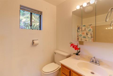 27431 Blue Lake Pl, Willits, CA 95490 photo 22