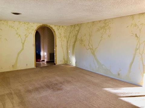 277 Luring Pines Dr, Angwin, CA 94508 photo 23