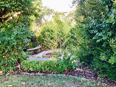 277 Luring Pines Dr, Angwin, CA 94508 photo 45