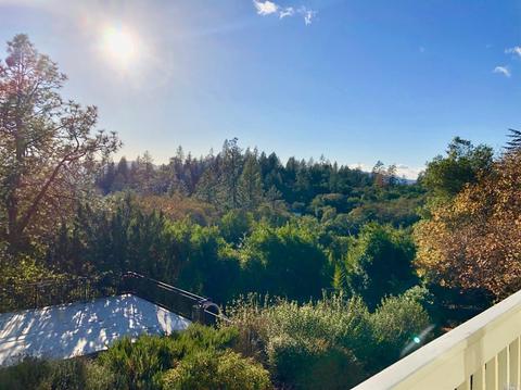 277 Luring Pines Dr, Angwin, CA 94508 photo 11