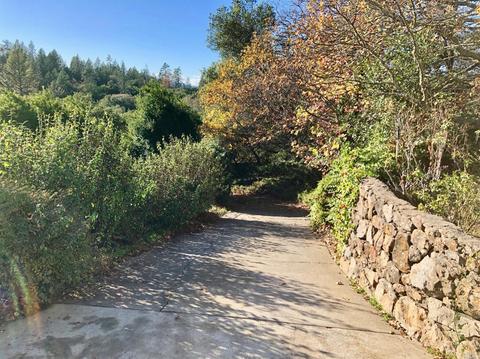 277 Luring Pines Dr, Angwin, CA 94508 photo 2