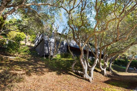 5 Madrono Ave, Corte Madera, CA 94925 photo 22