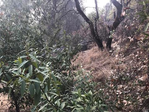 6775 State Blvd, Lucerne, CA 95458 photo 11