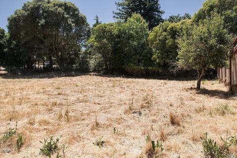 1311 D St, Petaluma, CA 94952 photo 4