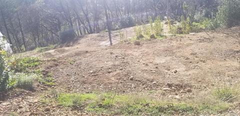 4770 Cavedale Rd, Glen Ellen, CA 95442 photo 19