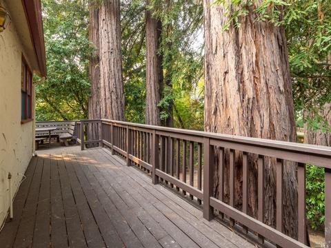 20 Winship Rd, Ross, CA 94957 photo 17