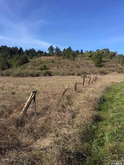 Undisclosed, Occidental, CA 95465 photo 1