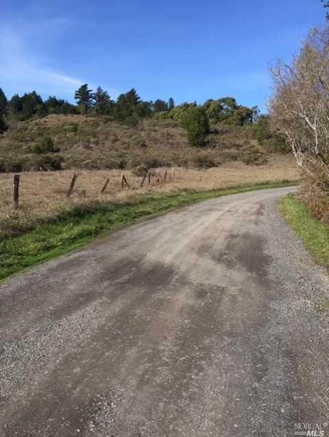 Undisclosed, Occidental, CA 95465 photo 7