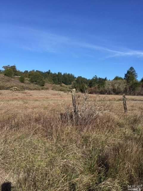 Undisclosed, Occidental, CA 95465 photo 8