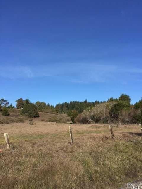 Undisclosed, Occidental, CA 95465 photo 5