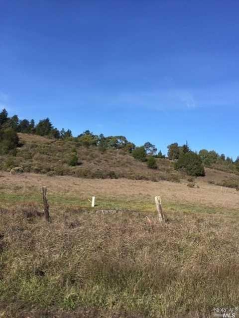 Undisclosed, Occidental, CA 95465 photo 3