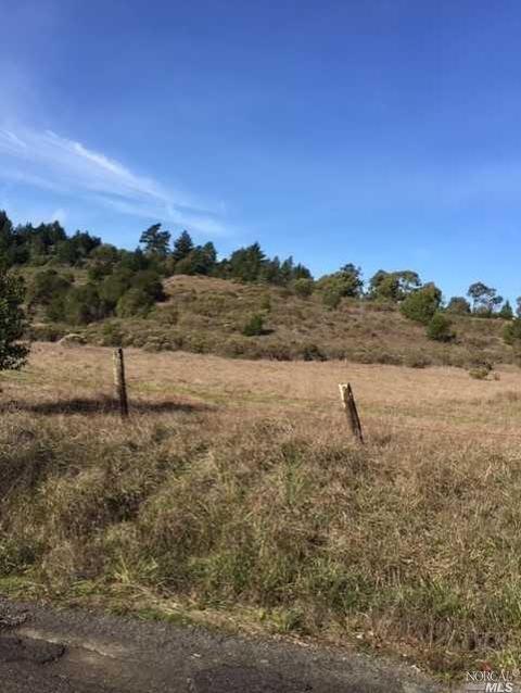 Undisclosed, Occidental, CA 95465 photo 6