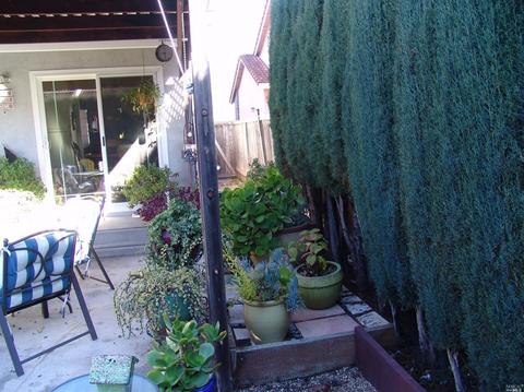 162 Espana Way, Windsor, CA 95492 photo 29
