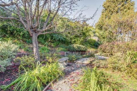 540 Eldridge Ave, Novato, CA 94947 photo 22